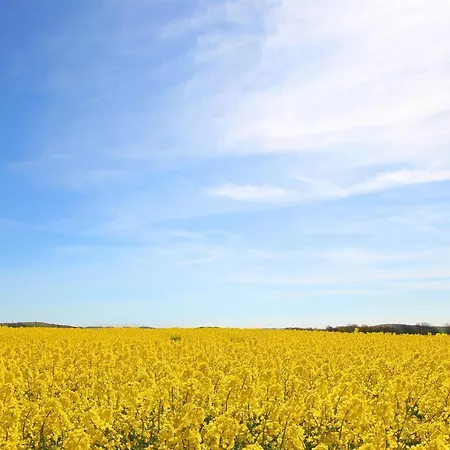 Haus Blick Zur See Ferienwohnung 07 - Mit Sauna - Und Schwimmbadnutzung Im Ahoi Sellin